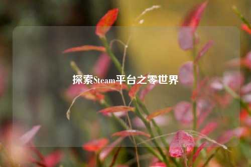 探索Steam平台之零世界