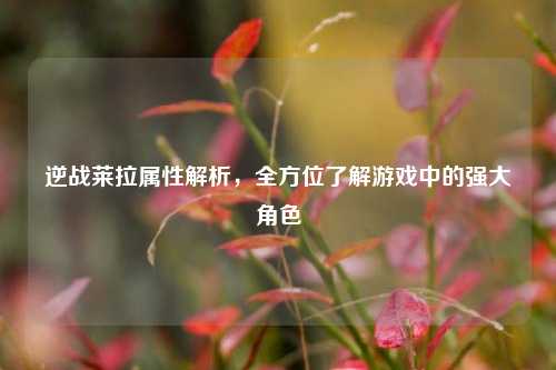 逆战莱拉属性解析,全方位了解游戏中的强大角色
