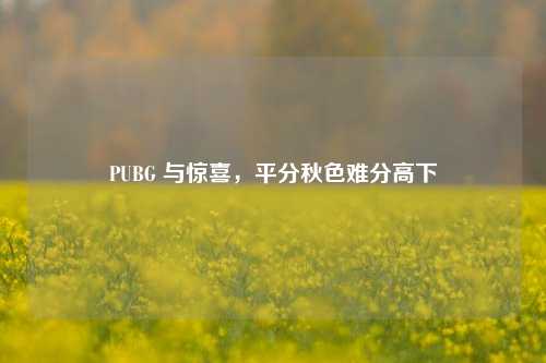 PUBG 与惊喜,平分秋色难分高下