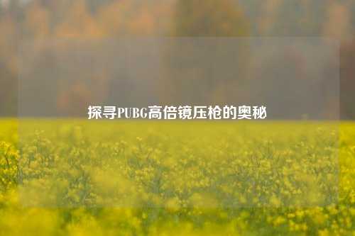 探寻PUBG高倍镜压枪的奥秘