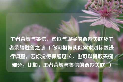 王者荣耀与鲁信，虚拟与现实的奇妙关联及王者荣耀姓鲁之谜 （你可根据实际需求对标题进行调整，若你觉得标题过长，也可以提取关键部分，比如，王者荣耀与鲁信的奇妙关联  ）
