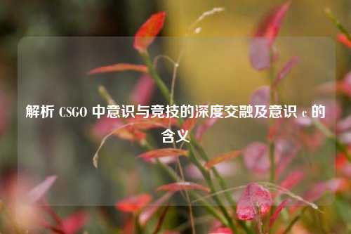 解析 CSGO 中意识与竞技的深度交融及意识 c 的含义