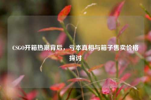 CSGO开箱热潮背后,亏本真相与箱子售卖价格探讨