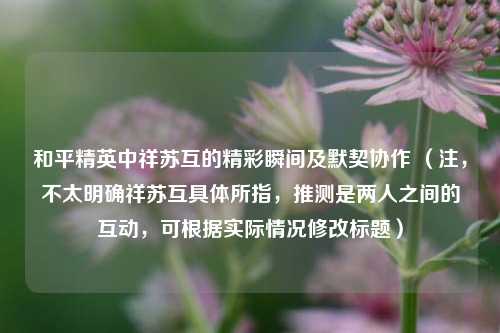 和平精英中祥苏互的精彩瞬间及默契协作 (注,不太明确祥苏互具体所指,推测是两人之间的互动,可根据实际情况修改标题)