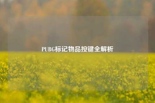 PUBG标记物品按键全解析