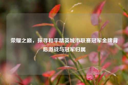 荣耀之巅,探寻和平精英城市联赛冠军金牌背后激战与冠军归属