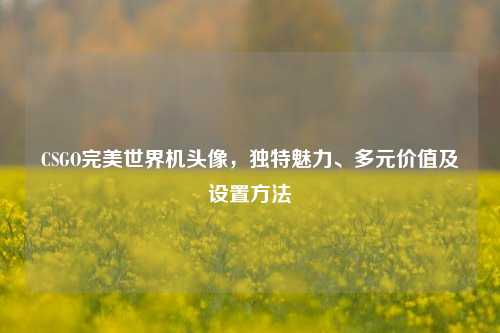 CSGO完美世界机头像,独特魅力、多元价值及设置方法