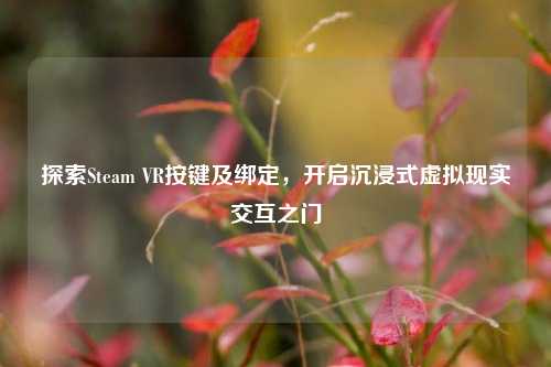 探索Steam VR按键及绑定,开启沉浸式虚拟现实交互之门