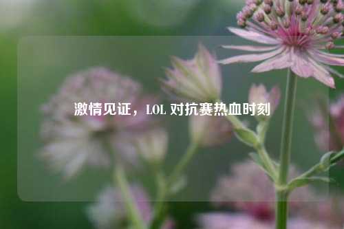 激情见证，LOL 对抗赛热血时刻