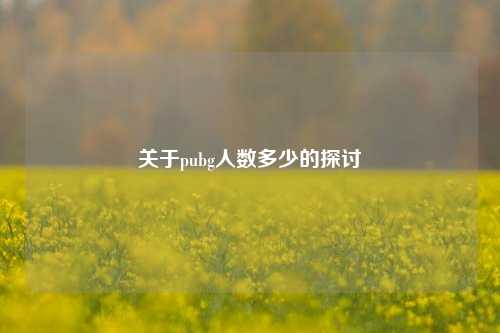 关于pubg人数多少的探讨