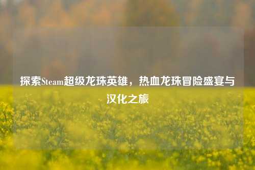 探索Steam超级龙珠英雄,热血龙珠冒险盛宴与汉化之旅