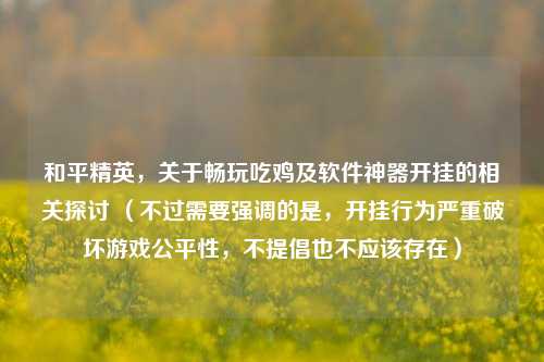 和平精英，关于畅玩吃鸡及软件神器开挂的相关探讨 （不过需要强调的是，开挂行为严重破坏游戏公平性，不提倡也不应该存在）