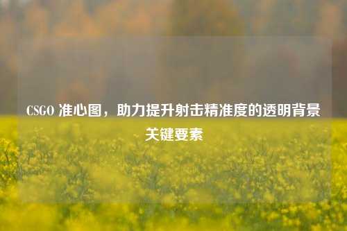 CSGO 准心图,助力提升射击精准度的透明背景关键要素