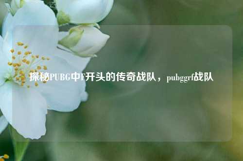 探秘PUBG中F开头的传奇战队，pubggrf战队