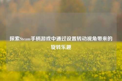 探索Steam手柄游戏中通过设置转动视角带来的旋转乐趣
