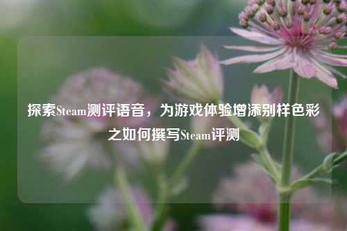 探索Steam测评语音，为游戏体验增添别样色彩之如何撰写Steam评测