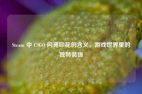 Steam 中 CSGO 闪亮印花的含义，游戏世界里的独特装饰
