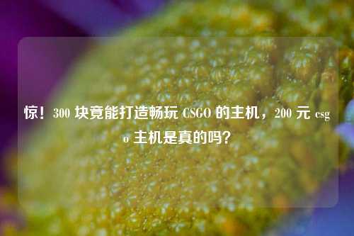 惊!300 块竟能打造畅玩 CSGO 的主机,200 元 csgo 主机是真的吗?
