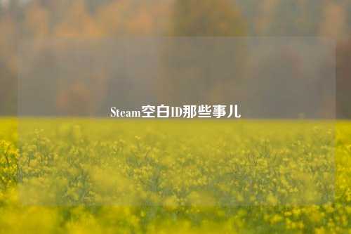 Steam空白ID那些事儿