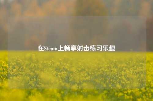 在Steam上畅享射击练习乐趣
