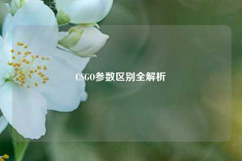 CSGO参数区别全解析