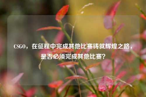 CSGO,在征程中完成其他比赛铸就辉煌之路,是否必须完成其他比赛?