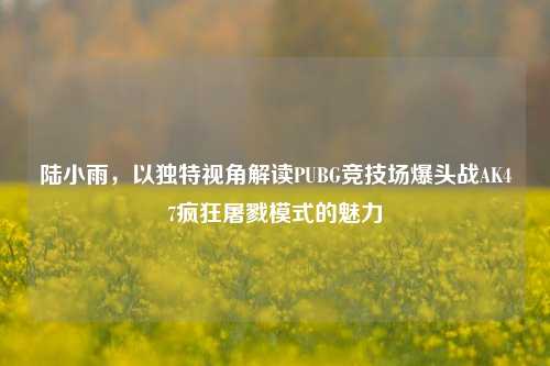 陆小雨，以独特视角解读PUBG竞技场爆头战AK47疯狂屠戮模式的魅力