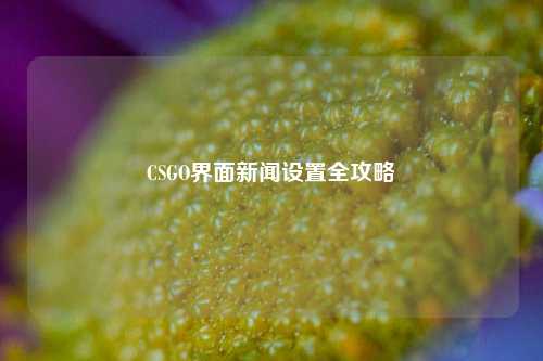 CSGO界面新闻设置全攻略