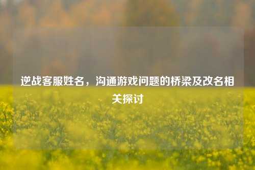 逆战客服姓名，沟通游戏问题的桥梁及改名相关探讨
