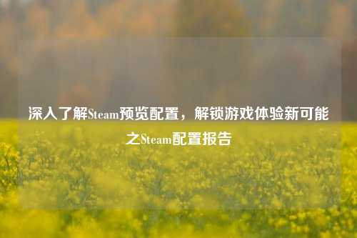 深入了解Steam预览配置，解锁游戏体验新可能之Steam配置报告