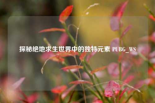 探秘绝地求生世界中的独特元素 PUBG_WS