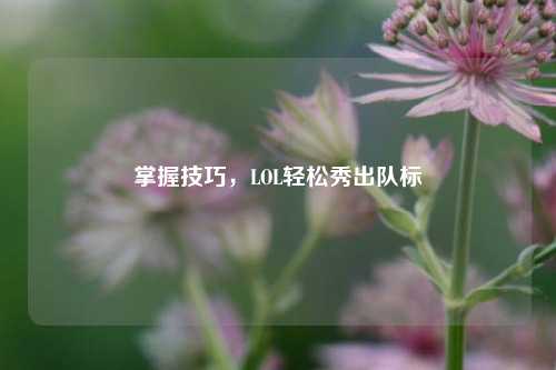 掌握技巧,LOL轻松秀出队标