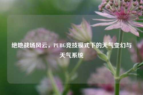绝地战场风云，PUBG竞技模式下的天气变幻与天气系统