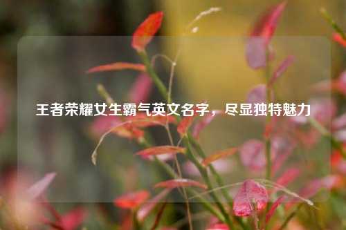 王者荣耀女生霸气英文名字，尽显独特魅力