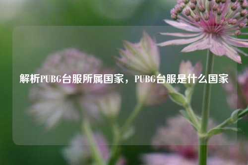 解析PUBG台服所属国家，PUBG台服是什么国家