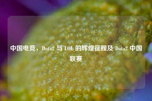中国电竞，Dota2 与 LOL 的辉煌征程及 Dota2 中国联赛