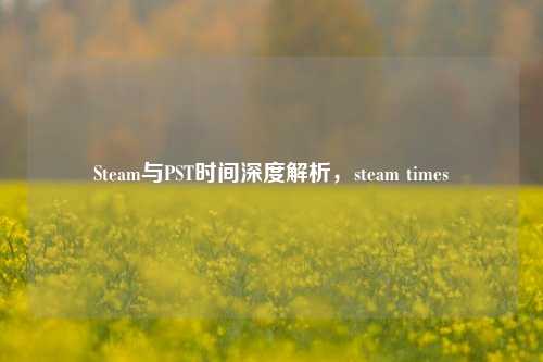 Steam与PST时间深度解析，steam times