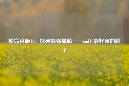 使命召唤16，探寻最强单喷——cod16最好用的喷子
