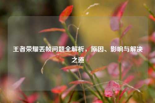 王者荣耀丢帧问题全解析,原因、影响与解决之道