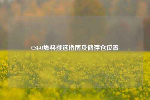 CSGO燃料挑选指南及储存仓位置
