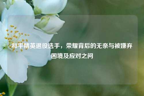 和平精英退役选手，荣耀背后的无奈与被嫌弃困境及应对之问