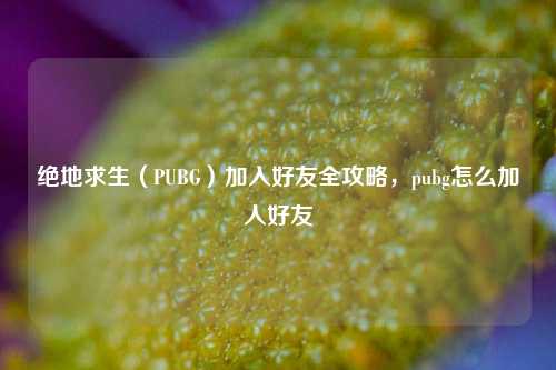 绝地求生(PUBG)加入好友全攻略,pubg怎么加人好友