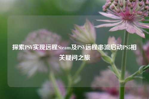 探索PSV实现远程Steam及PSV远程串流启动PS5相关疑问之旅