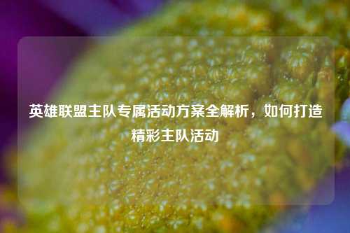 英雄联盟主队专属活动方案全解析，如何打造精彩主队活动
