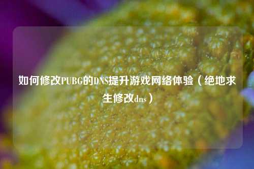 如何修改PUBG的DNS提升游戏网络体验（绝地求生修改dns）