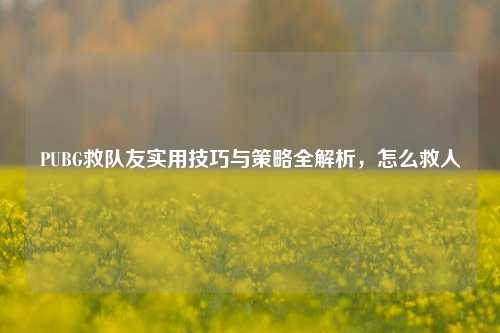 PUBG救队友实用技巧与策略全解析，怎么救人