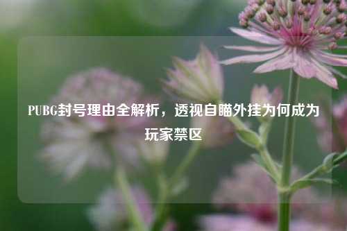 PUBG封号理由全解析，透视自瞄外挂为何成为玩家禁区
