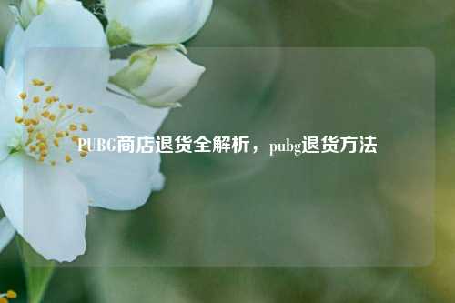 PUBG商店退货全解析，pubg退货方法