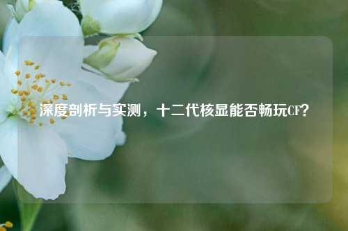 深度剖析与实测，十二代核显能否畅玩CF？