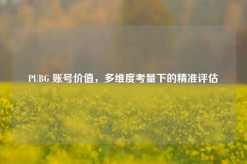 PUBG 账号价值，多维度考量下的精准评估